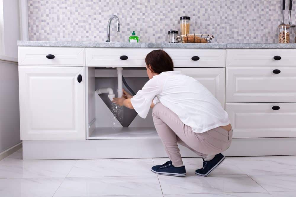 A woman kneeling down in front of an open kitchen sink.